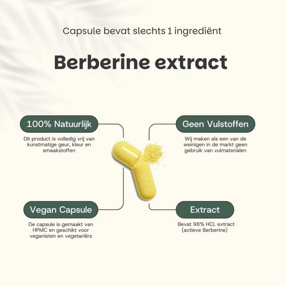 20% korting | Cupplement Berberine Extract Capsules 400 mg