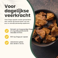 20% korting | Cupplement Chaga Capsules 500 mg Biologisch