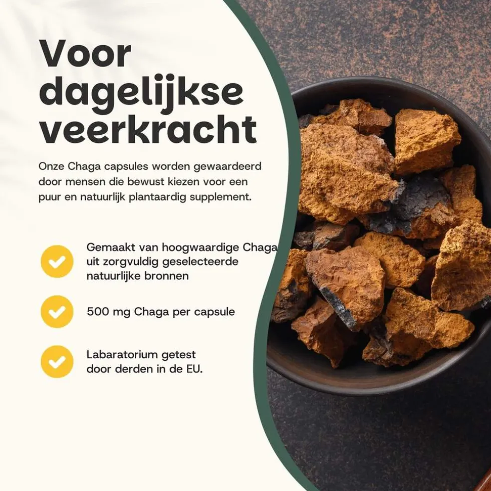 20% korting | Cupplement Chaga Capsules 500 mg Biologisch