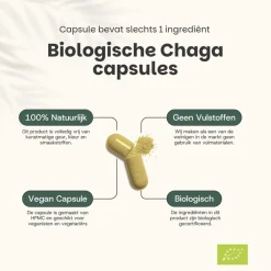 20% korting | Cupplement Chaga Capsules 500 mg Biologisch