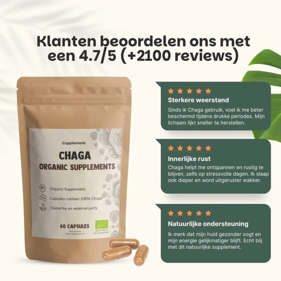 20% korting | Cupplement Chaga Capsules 500 mg Biologisch
