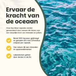 45% korting | Cupplement Multipack Sea Moss Capsules 500 mg Biologisch