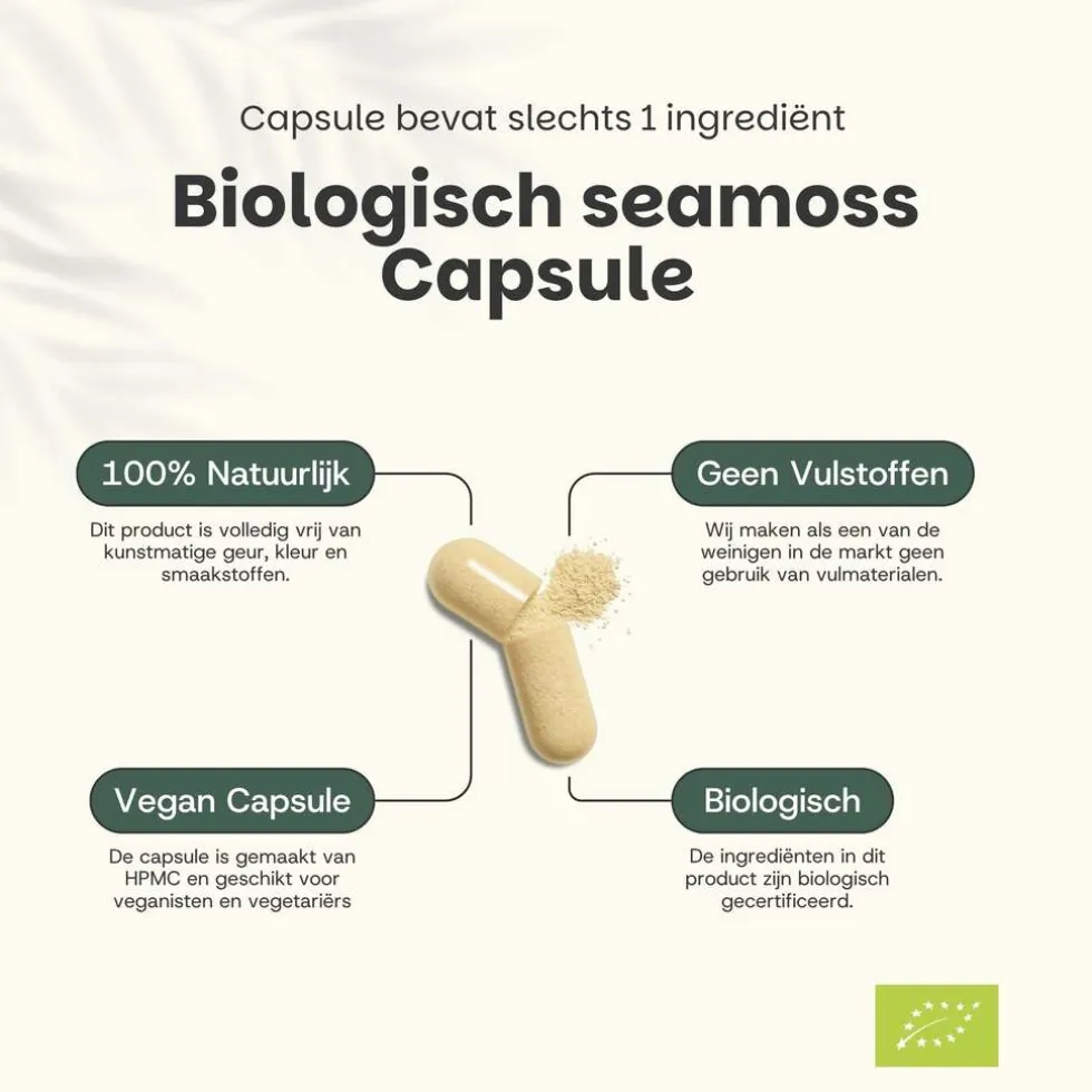 45% korting | Cupplement Multipack Sea Moss Capsules 500 mg Biologisch