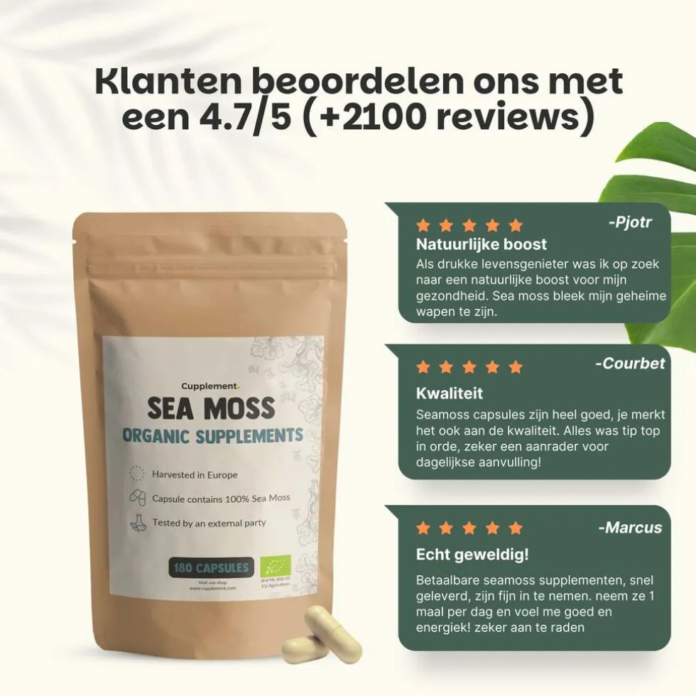 45% korting | Cupplement Multipack Sea Moss Capsules 500 mg Biologisch
