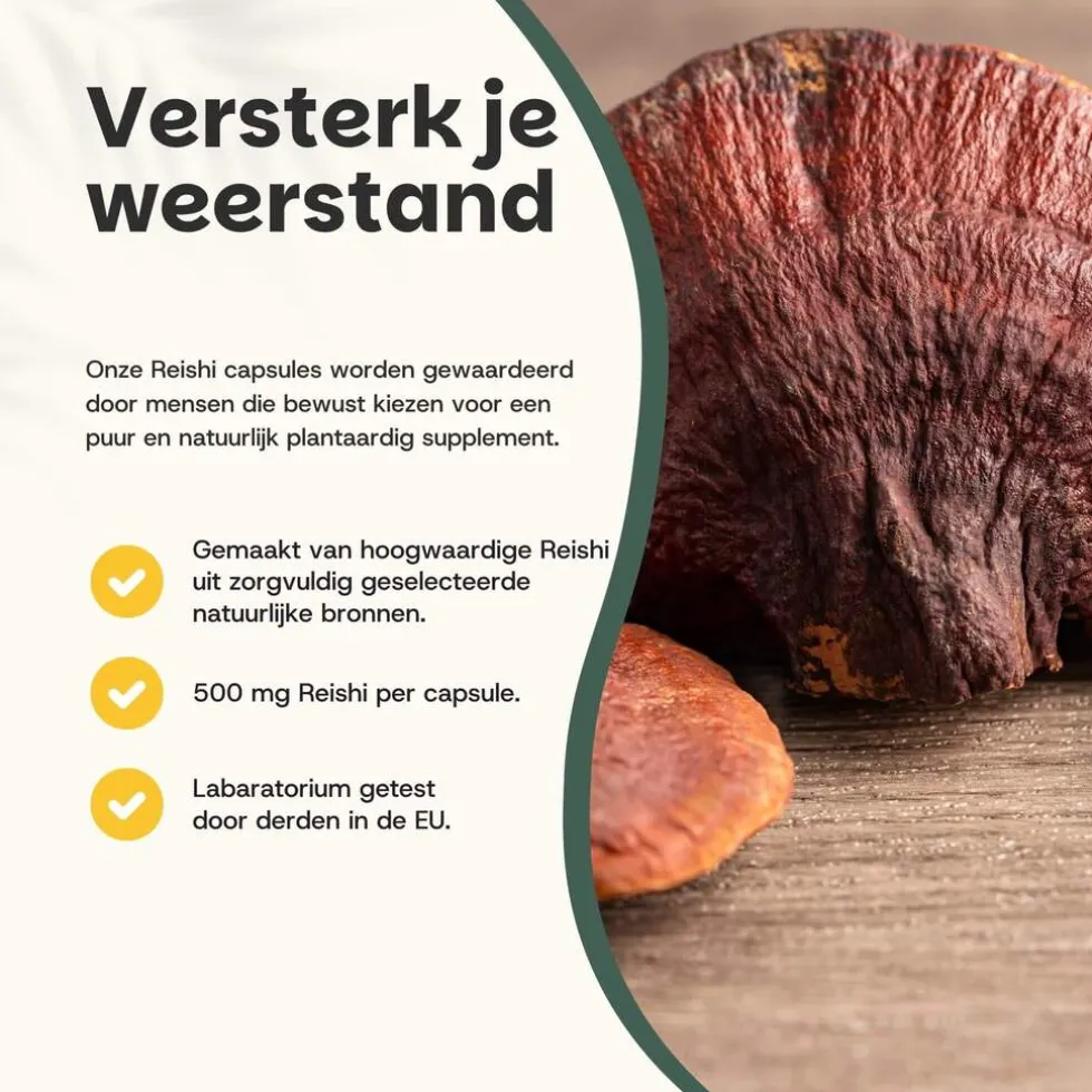 20% korting | Cupplement Reishi Capsules 500 mg Biologisch