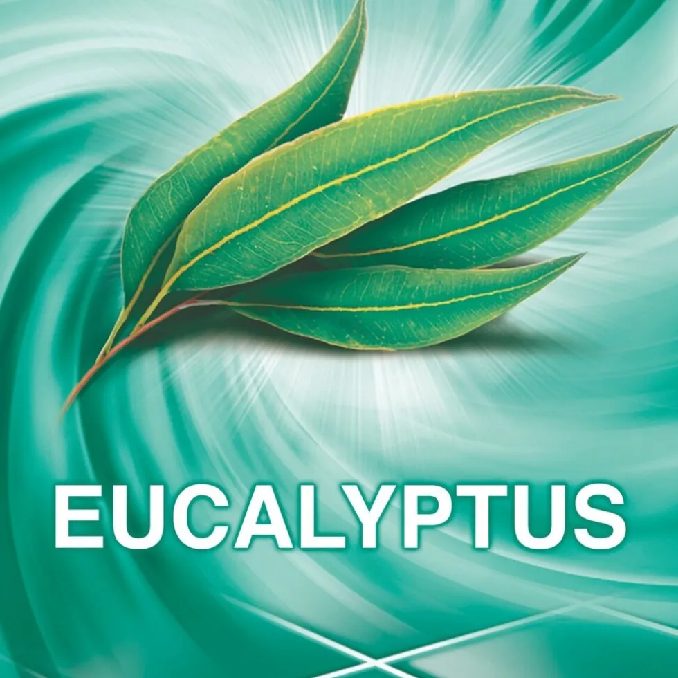 Ajax Eucalyptus Allesreiniger