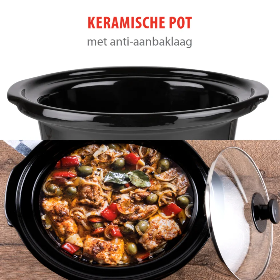 alpina Slowcooker MEASL4350/001