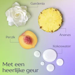 Andrélon Langer Fris Shampoo