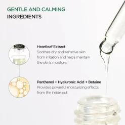 Anua Heartleaf 80% Moisture Soothing Ampoule