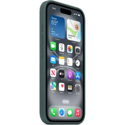 Apple Silicone Backcover MagSafe voor iPhone 16 Plus