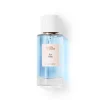 Arts & Odeurs Ice Blue Extrait de Parfum