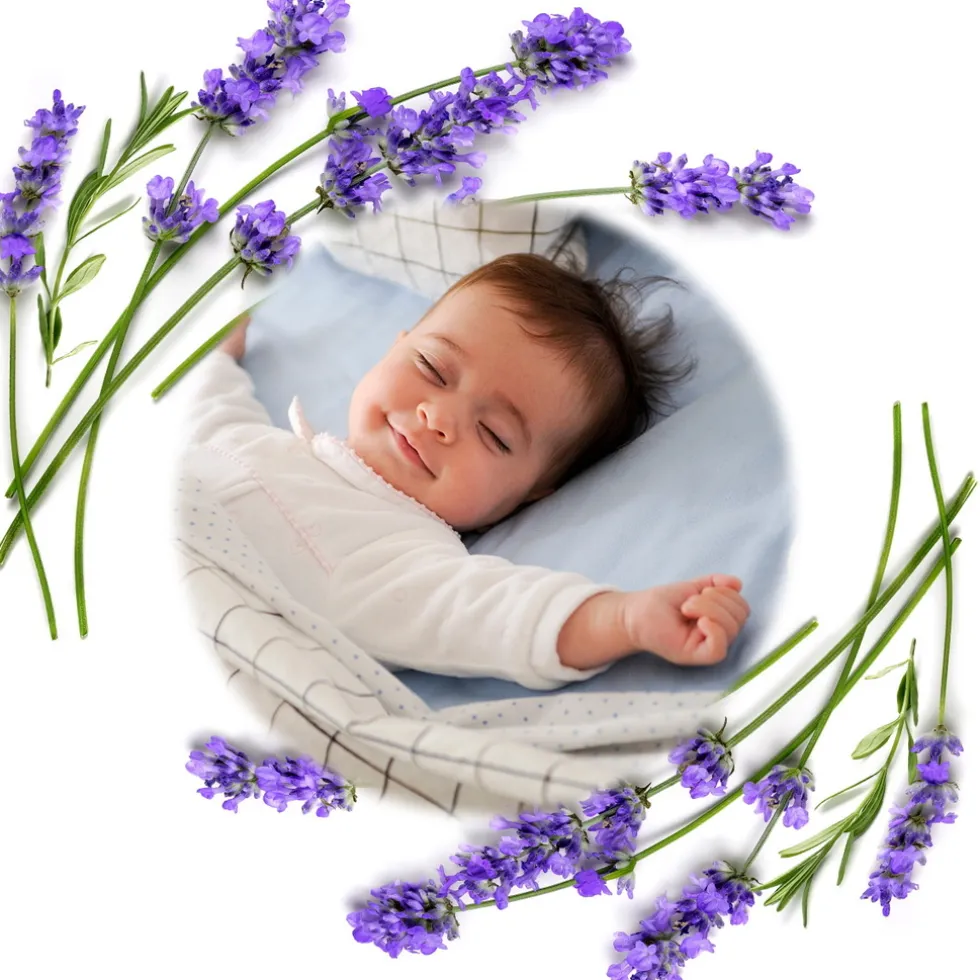 Baby Ono Cherry Roze Lavendel Pittenzak