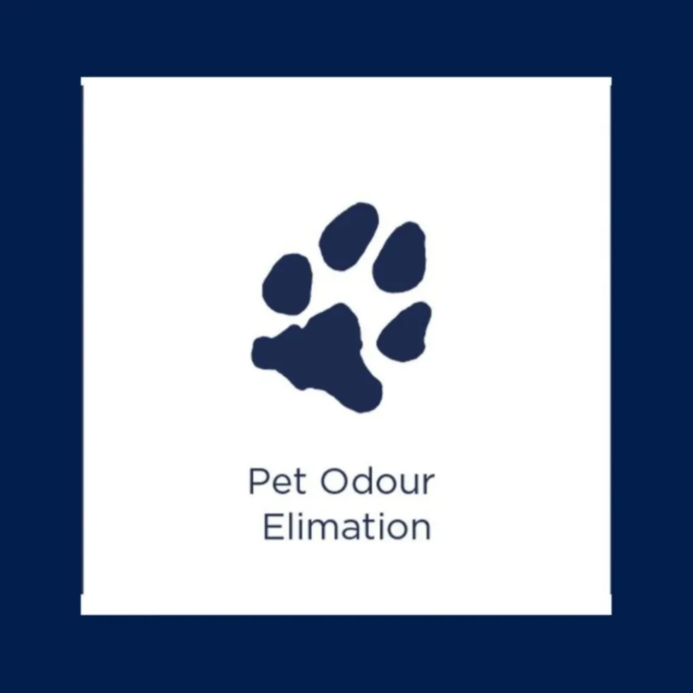 BISSELL Wash & Protect Tapijtreiniger Geurverwijderaar 1087N