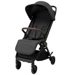 B-Micro Buggy
