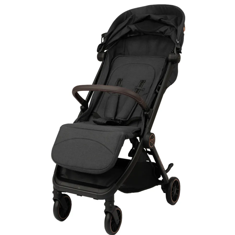 B-Micro Buggy