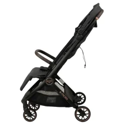 B-Micro Buggy