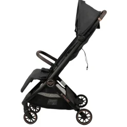 B-Micro Buggy