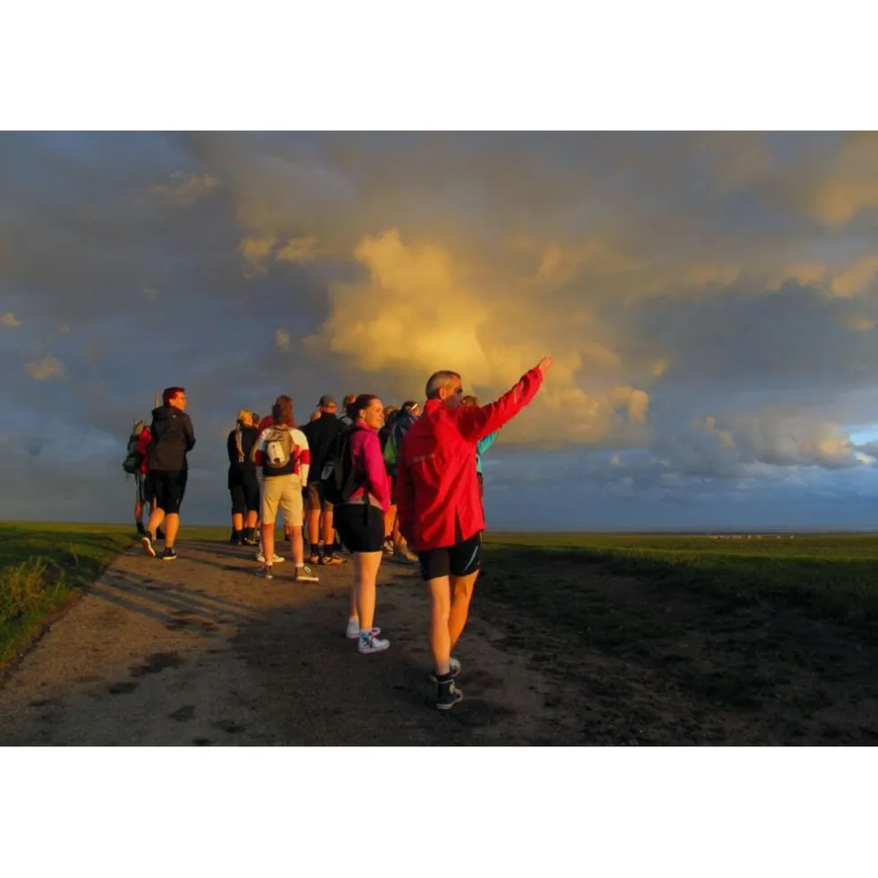 Cadeaubon: Samen wadlopen en overnachten