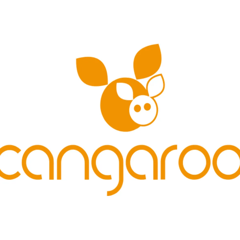 Cangaroo Roze Freya Princess 75 x 105 cm Wiegdeken