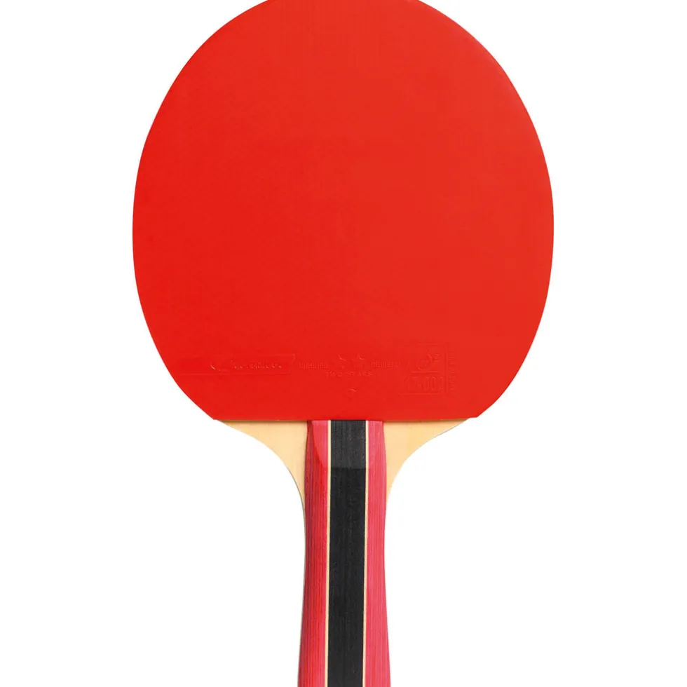 Cornilleau Sport 300 Indoor Tafeltennis Bat