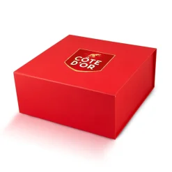 Côte d'Or The Best Of – Luxe Magneetdoos met Chokotoff, Mini Bouchée & Mignonnette Melk