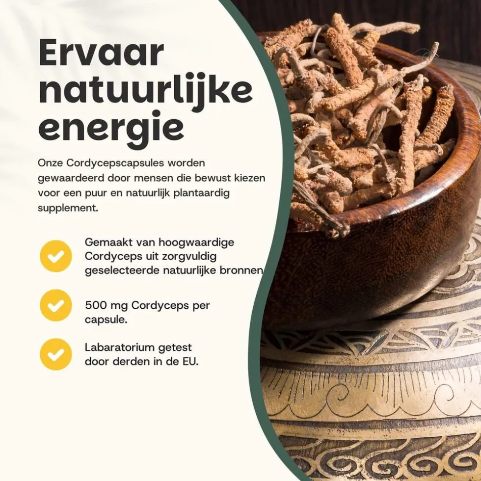 Cupplement Cordyceps Capsules 500 mg Biologisch