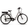 Degreaser dames ebike 50 cm 10.4 Ah 7sp zilver