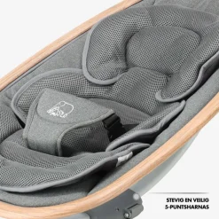 Deryan Brody Baby Elektrische Wipstoel