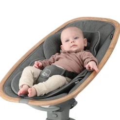 Deryan Brody Baby Elektrische Wipstoel