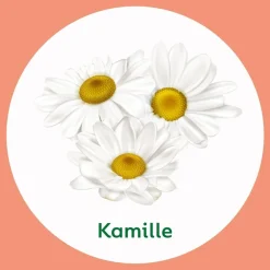Dettol Chamomile & Cotton Flower Wascrème met Pomp