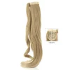 Di Biase Ponytail Straight 70cm