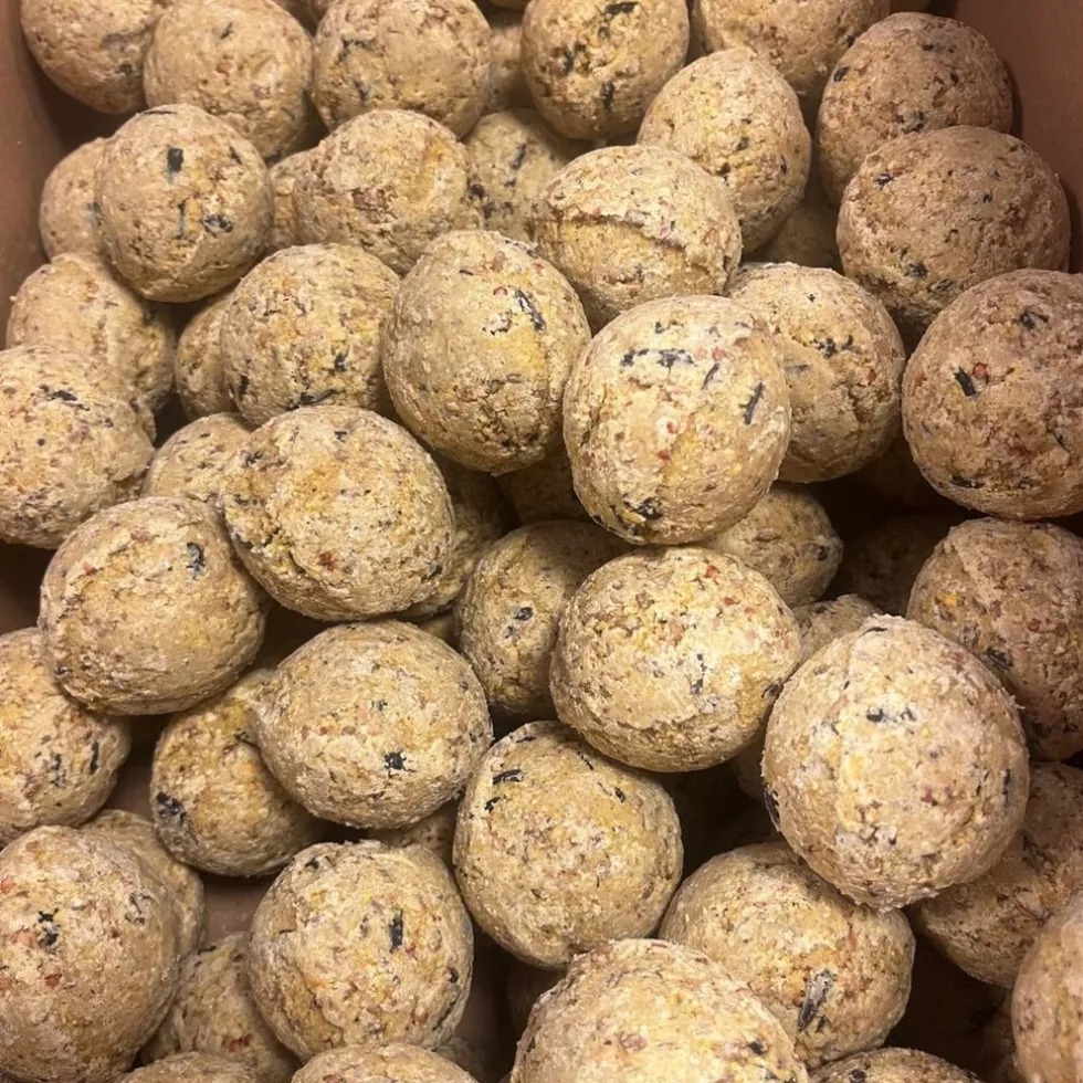 Famiflora mezenbollen zonder net