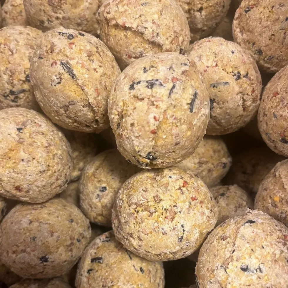 Famiflora mezenbollen zonder net