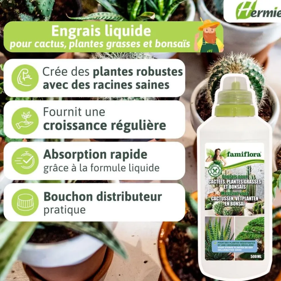 Famiflora vloeibare meststof voor cactussen, vetplanten en bonsaï