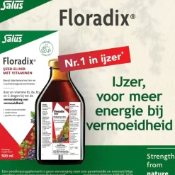 Floradix IJzer-Elixer