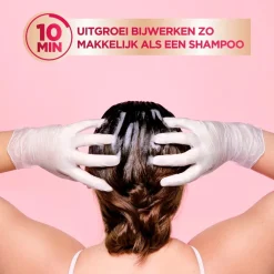 Garnier Color Sensation Color Retouch 2.0 Zwart Haarkleuring
