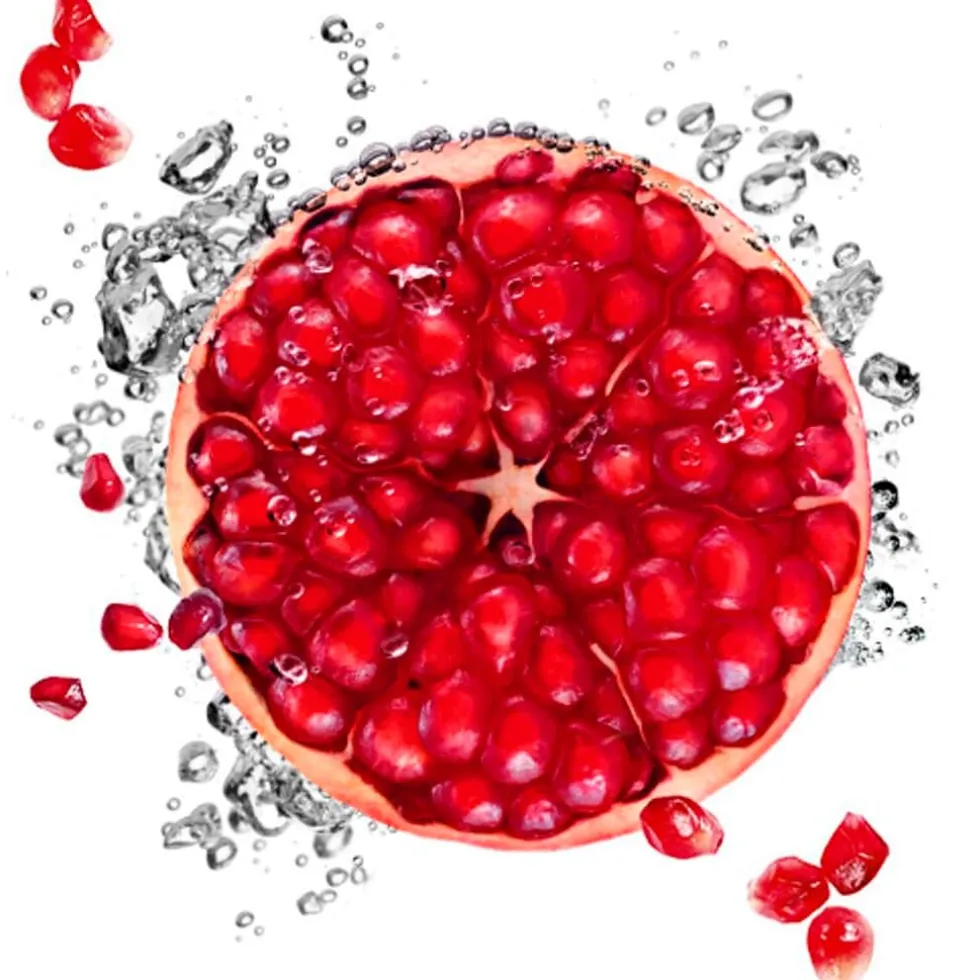 Garnier SkinActive Hydra Bomb Tissuemasker