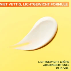 Garnier SkinActive Vitamine C Glow Booster Serum Cream