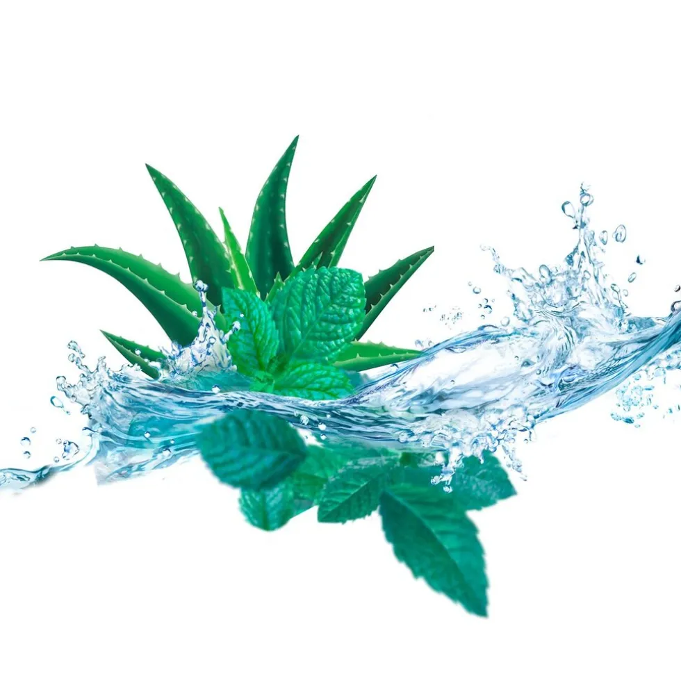 Kneipp Cooling Aloë Vera Watermunt Voetbadkristallen