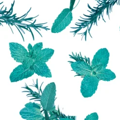 Kneipp Goodbye Stress Watermunt Rozemarijn Badschuim