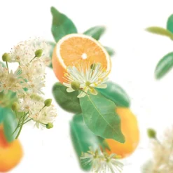 Kneipp Pure Harmony Sinaasappel Lindebloesem Douchegel