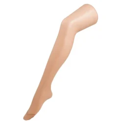 Kruidvat Daily Glans 15 Den Panty