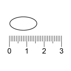 Kruidvat Haarvitaal Tabletten