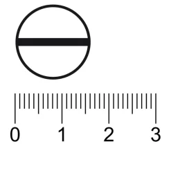 Kruidvat Maagtabletten