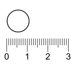 Kruidvat Zink Tabletten