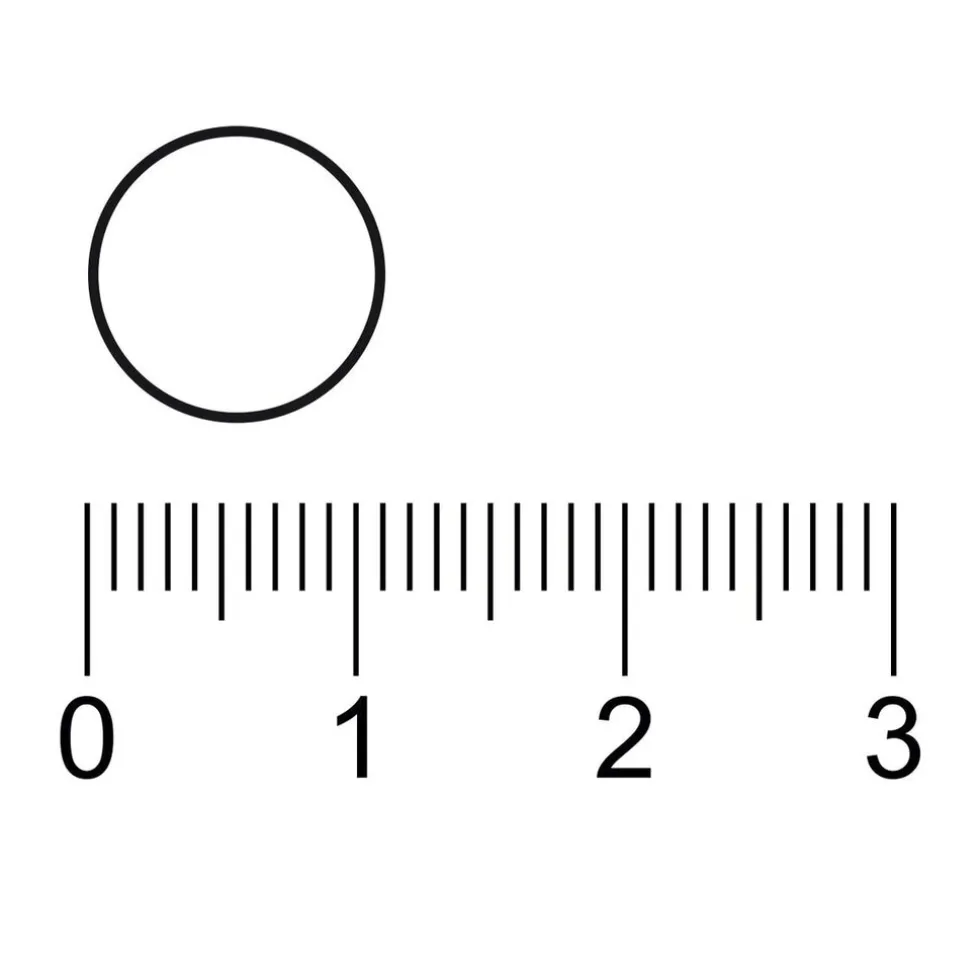 Kruidvat Zink Tabletten