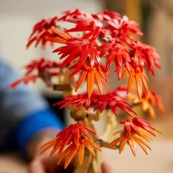 LEGO The Botanical Collection 10348 Japanse Esdoorn Bonsaiboompje