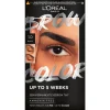 L'Oréal Paris 1.0 Black Brow Color Wenkbrauwverf