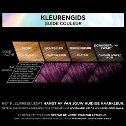 L'Oréal Paris Préférence Les Vivids 3.161 Magnetic Plum Permanente Haarkleuring