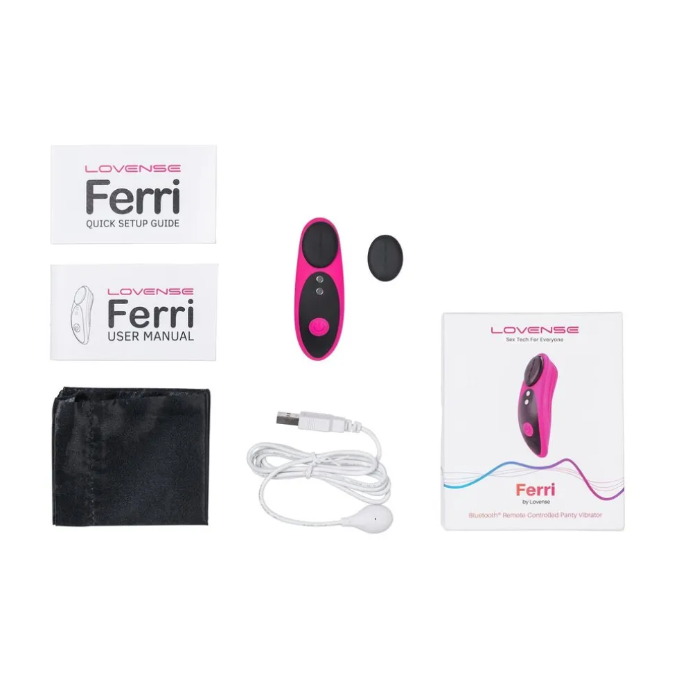 Lovense Ferri Panty Vibrator
